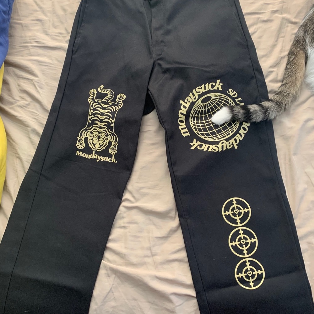 Graphic dickie 870 pants